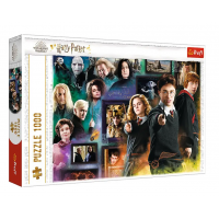 Пазлы Trefl (1000) Гарри Поттер: Магическая Вселенная